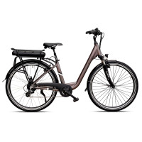 Rower e-bike Barton E-City 26" 522WH