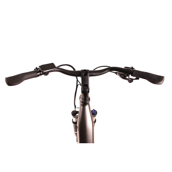 Rower elektryczny Northtec Suncity 28"