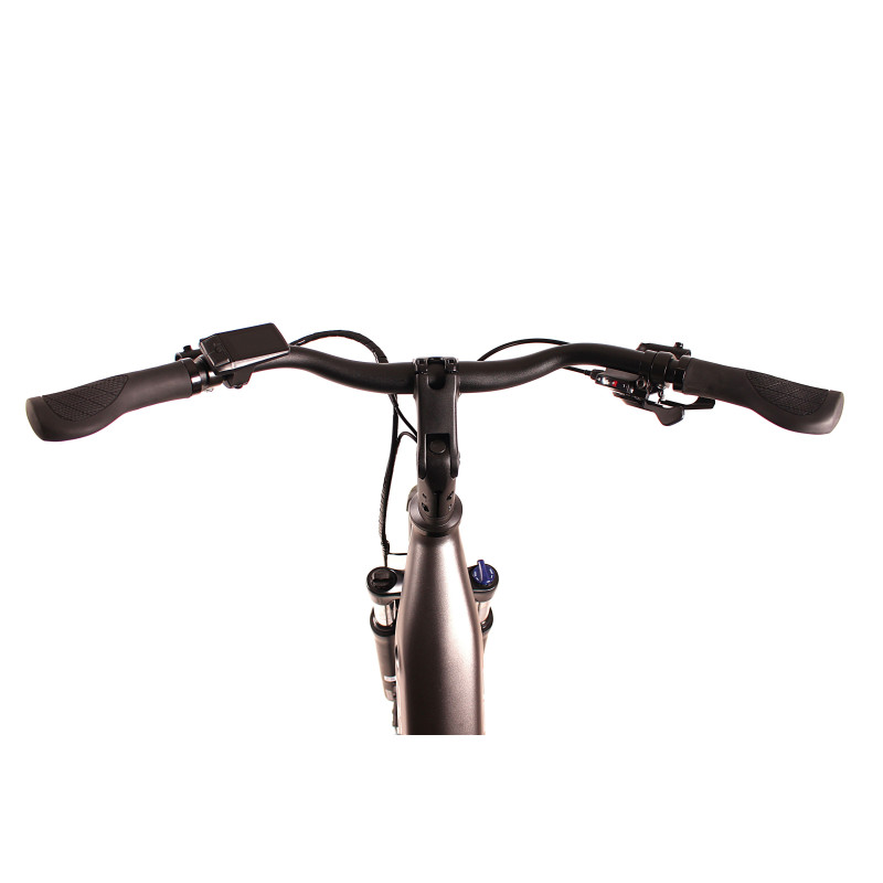 Rower elektryczny Northtec Suncity 28"
