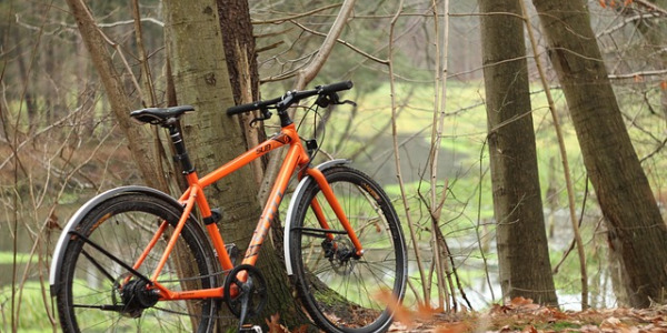 Jaki rower na długie trasy?