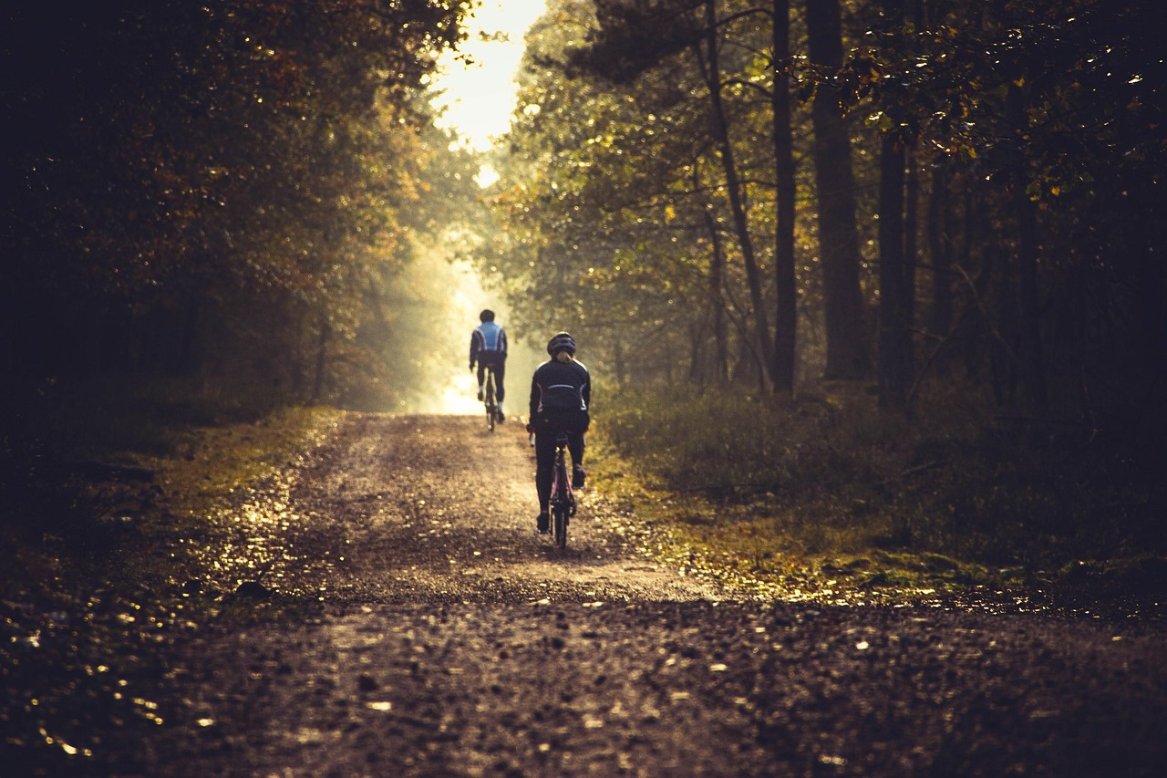 Rower trekkingowy - czyli jaki? Który model wybrać?